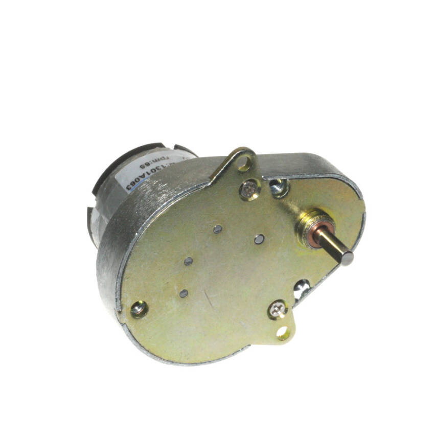 KS-RI 24V 65Rpm Redüktörlü DC Motor - 2