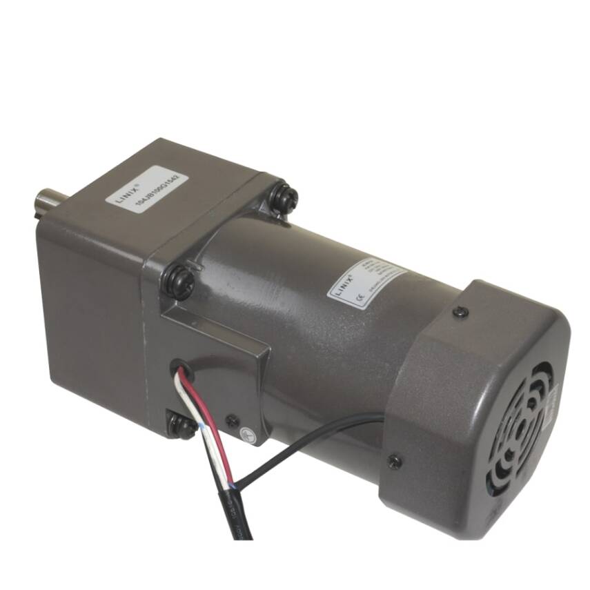 YN100-120 220V 260RPM AC Motor - 1